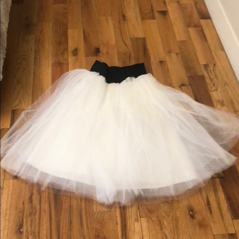 Full Tulle Skirt
